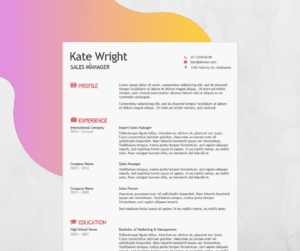 minimalist cv template